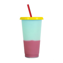 Custom Color Changing Cup  Reusable Plastic Skinny Tumbler Plastic Cup With Straw